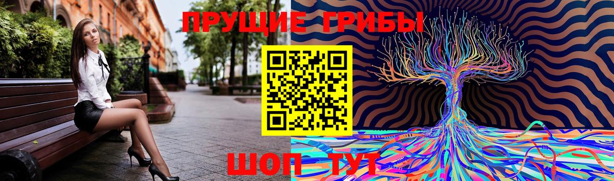 Чайковский  Псилоцибиновые грибы Psilocybe  что такое   Вход с VPN 