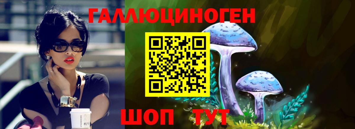 Галлюциногенные грибы Cubensis Чайковский